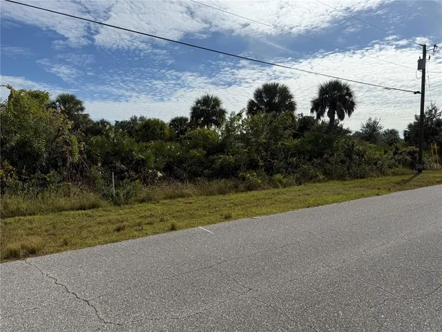 a view of a yard with a big yard