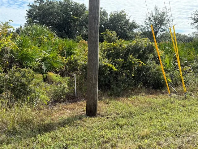 a view of a yard with plants