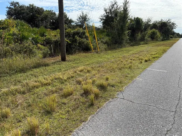 a view of a trees with a yard