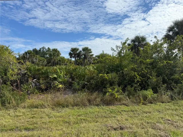 a view of a field of grass and trees