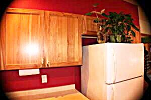 N1520 Spring Glen Road Menominee, WI 54135 - Photo 19 of 44 Kitchen