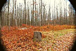 $275,000 | N1520 Spring Glen Road, Menominee, WI 54135