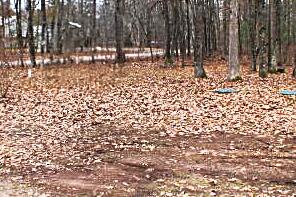 N1520 Spring Glen Road Menominee, WI 54135 - Photo 9 of 44 Front Yard
