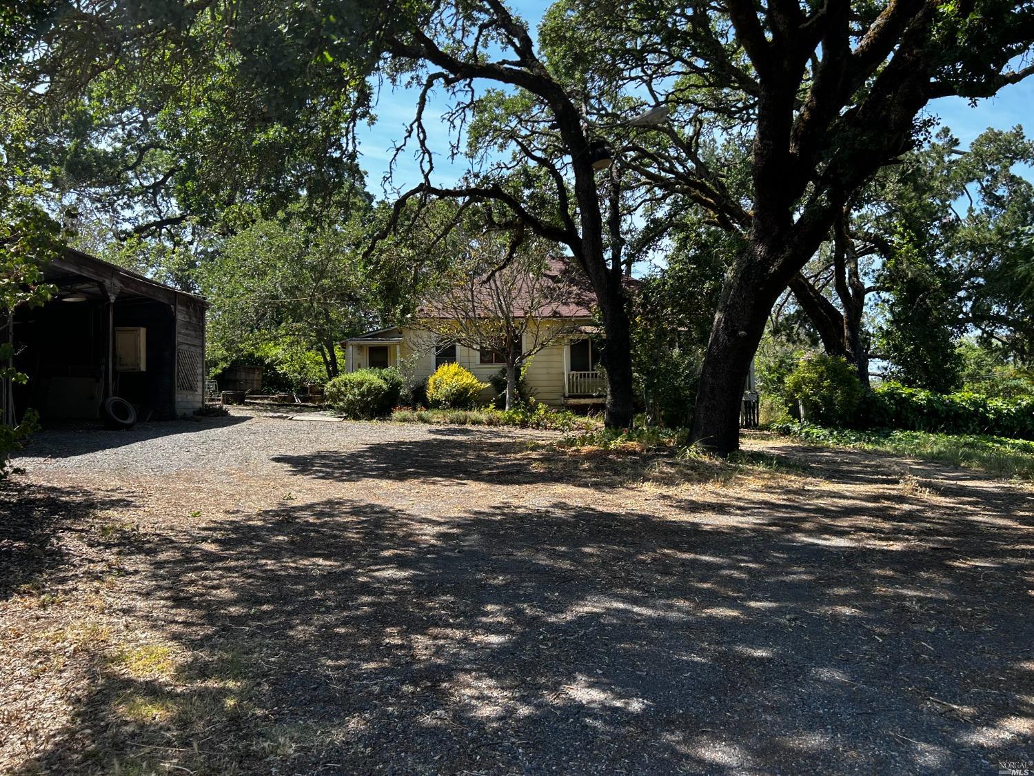 a view of a yard with plants and trees