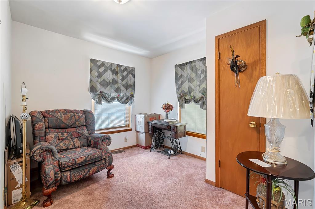 3774 Rim Road Imperial, MO 63052 - Photo 24 of 44