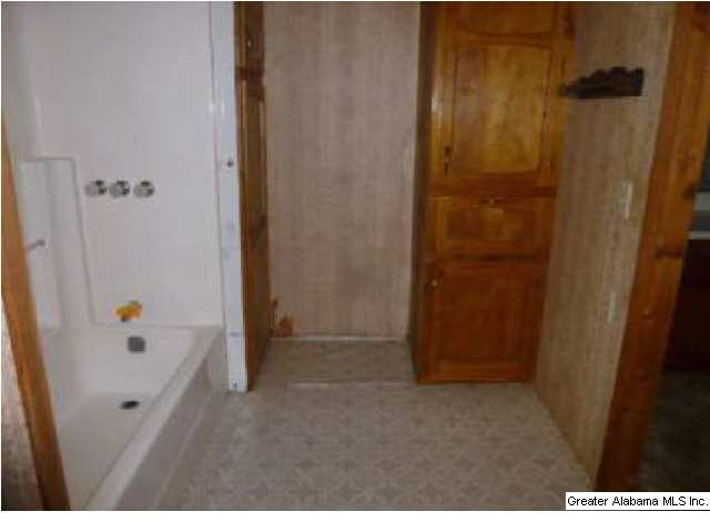 366 Ganer Road Samson, AL 36477 - Photo 12 of 13 Gallery Image 12