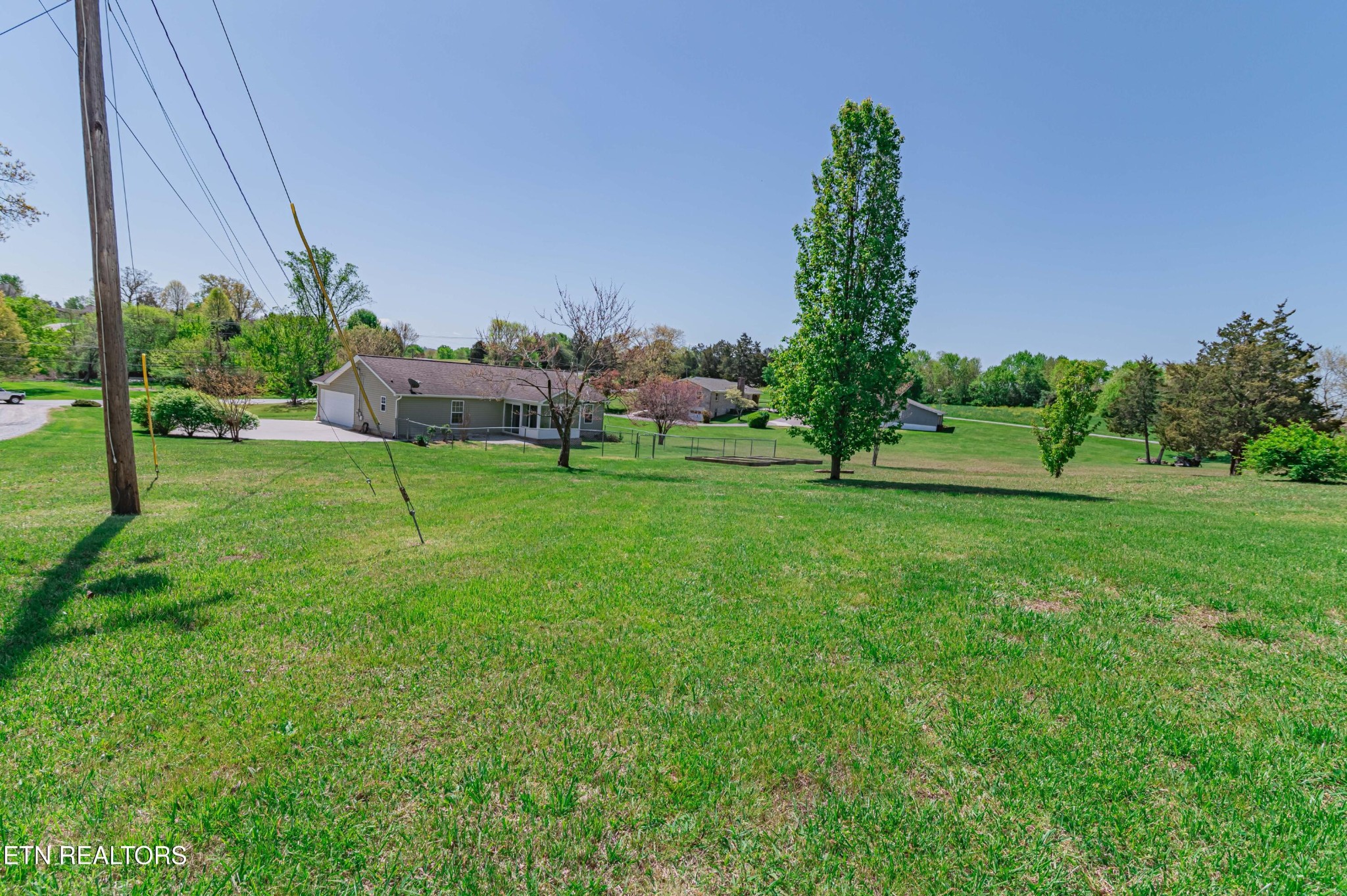 8007 Tazewell Pike Corryton, TN 37721 - Photo 32 of 43 a view of a garden with a tree