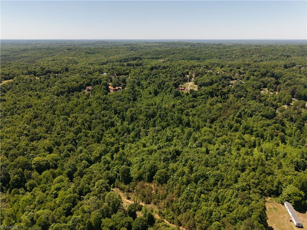 0 Fuller Mill Road North Thomasville, NC 27360 - Photo 10 of 22