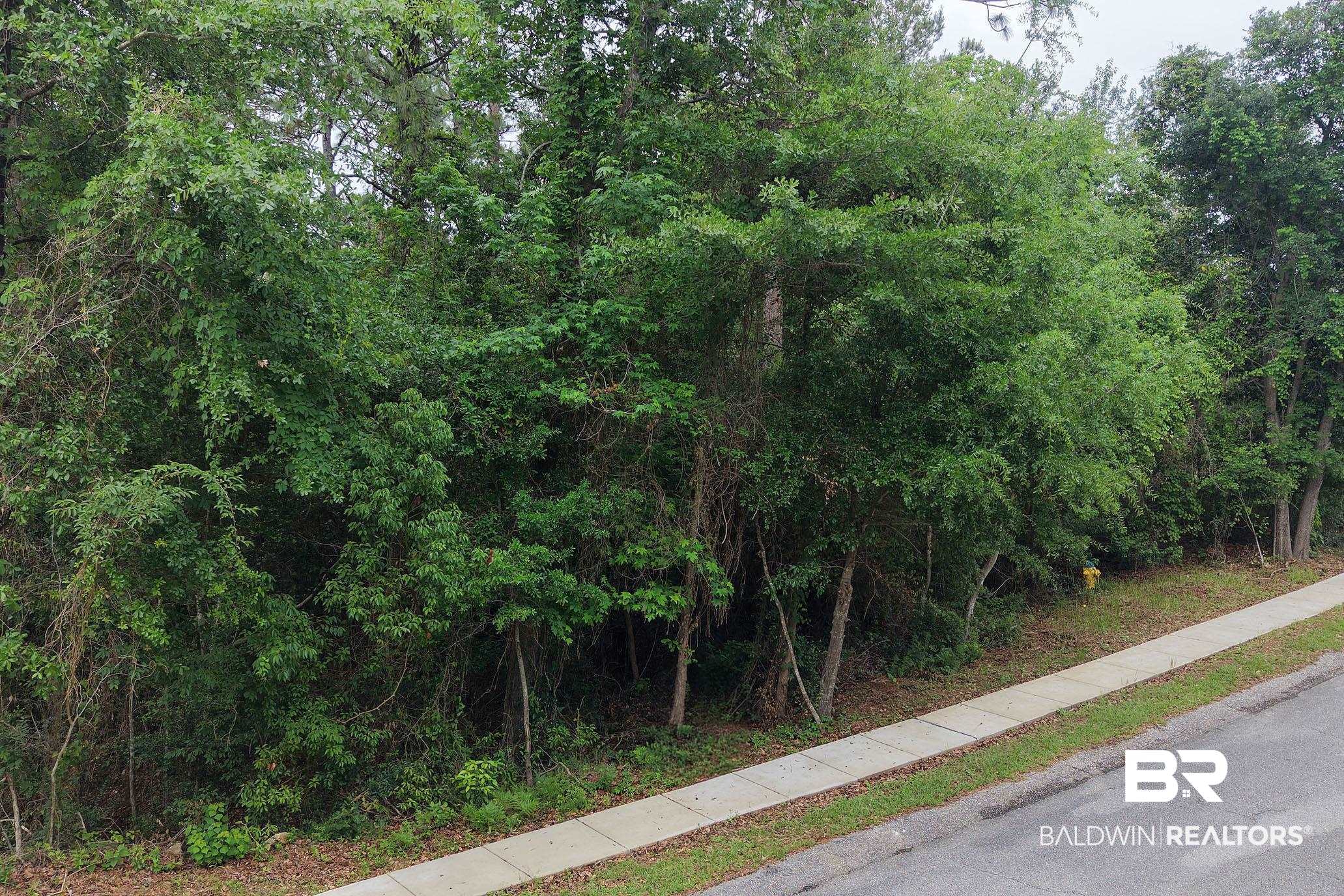 0 Rhett Drive Daphne, AL 36527 - Photo 14 of 29