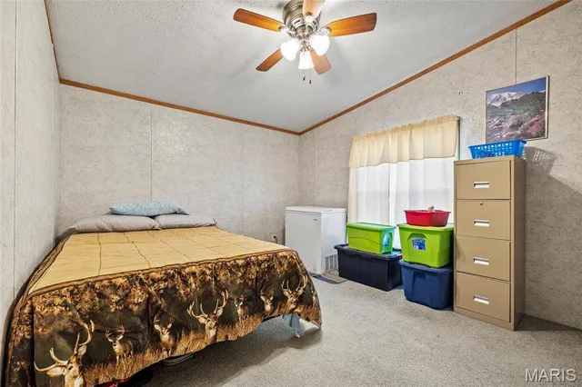 $600,000 | 13449 Highway J Conway Mo 65632, Conway, MO 65632