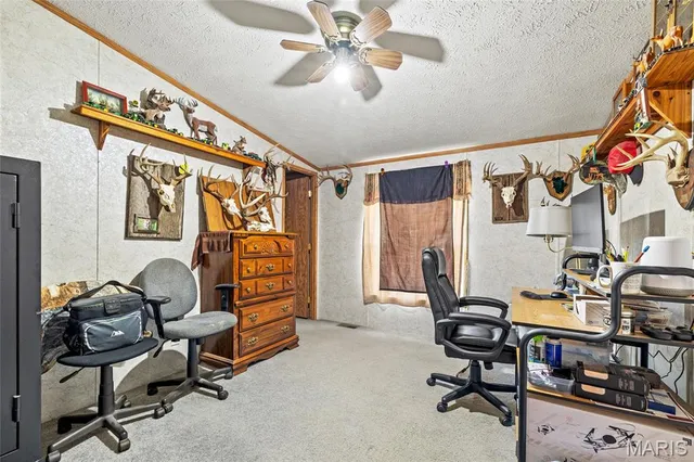 $600,000 | 13449 Highway J Conway Mo 65632, Conway, MO 65632