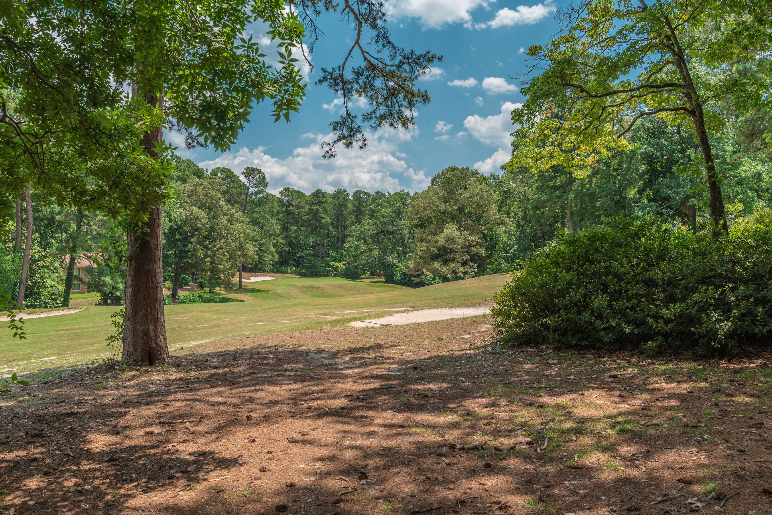 10 Inverness Street East Aiken, SC 29803 - Photo 49 of 51