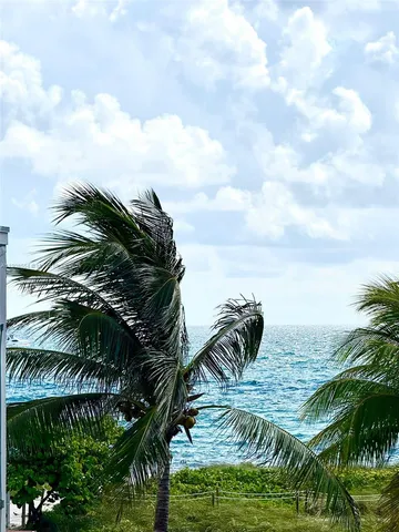 a view of a palm plant from a yard