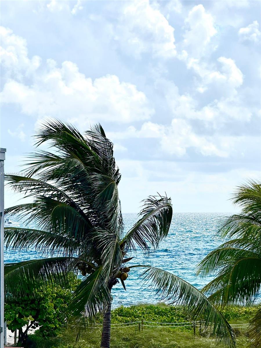 9225 Collins Avenue, Unit 1006 Surfside, FL 33154 - Photo 14 of 14 a view of a palm plant from a yard
