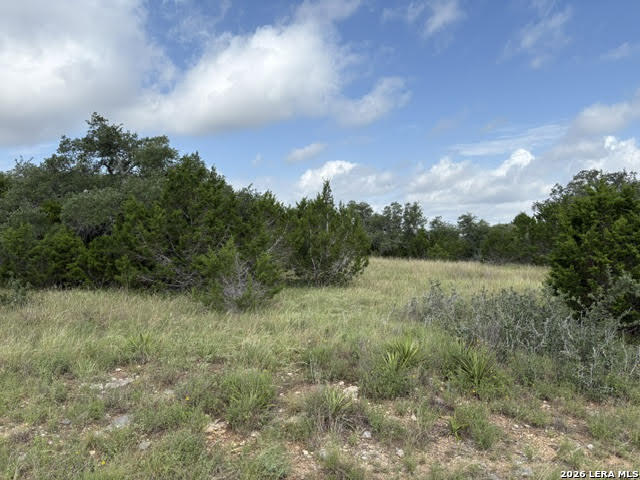 351 Ridge Point Spring Branch, TX 78070 - Photo 8 of 34