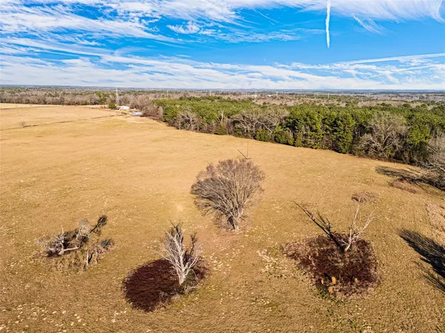 a house with trees in the background