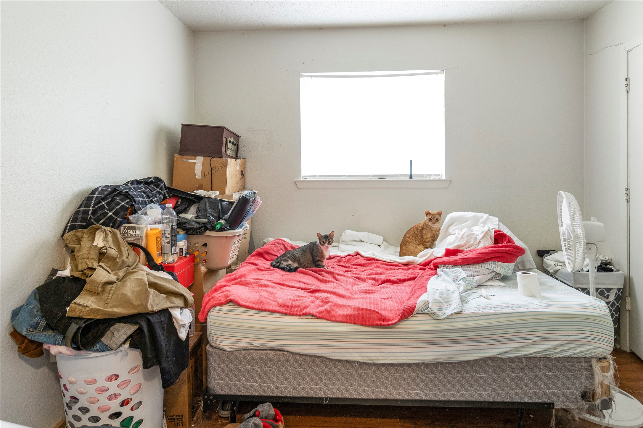 4121 Old Hearne Road Bryan, TX 77803 - Photo 10 of 14 a bedroom with a bed and wooden floor