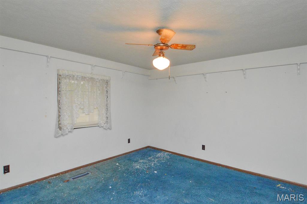 5451 Club Congress Road Waterloo, IL 62298 - Photo 21 of 40