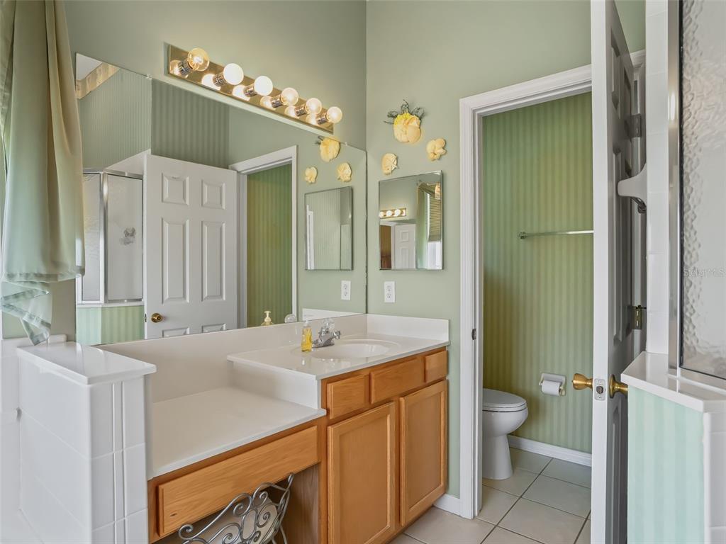 17786 Southeast 119th Avenue Road Summerfield, FL 34491 - Photo 22 of 43 a bathroom with a sink double vanity and a mirror