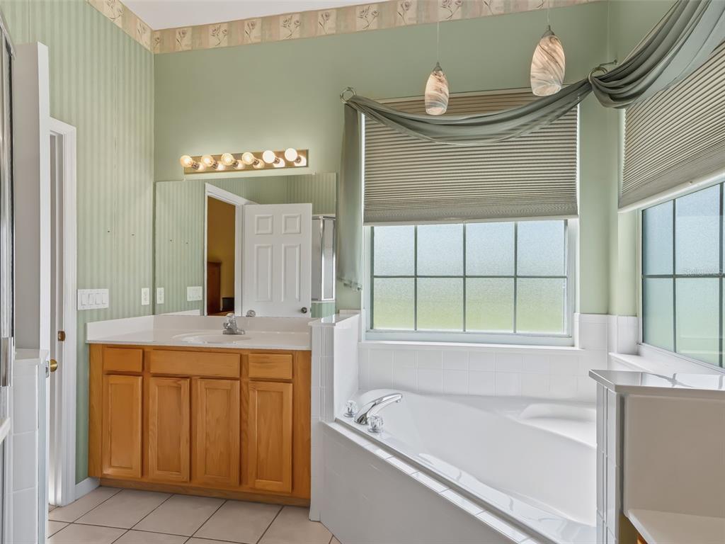 17786 Southeast 119th Avenue Road Summerfield, FL 34491 - Photo 23 of 43 a bathroom with a tub sink and mirror