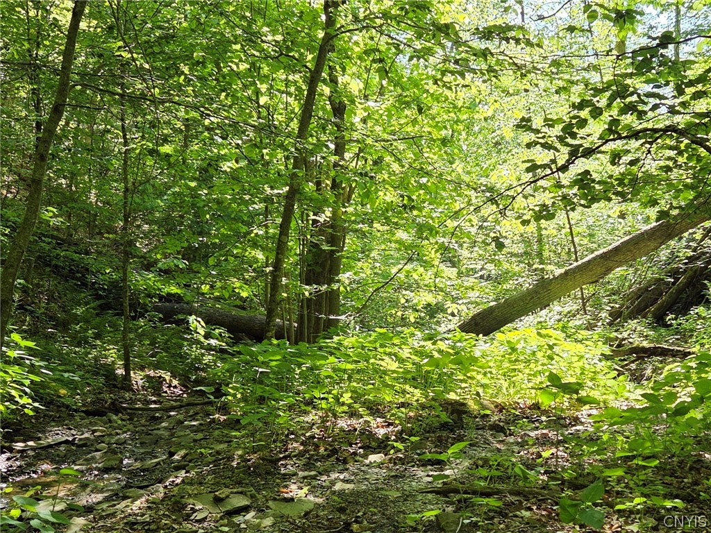 446 Nys Route Cuba, NY 14727 - Photo 16 of 47