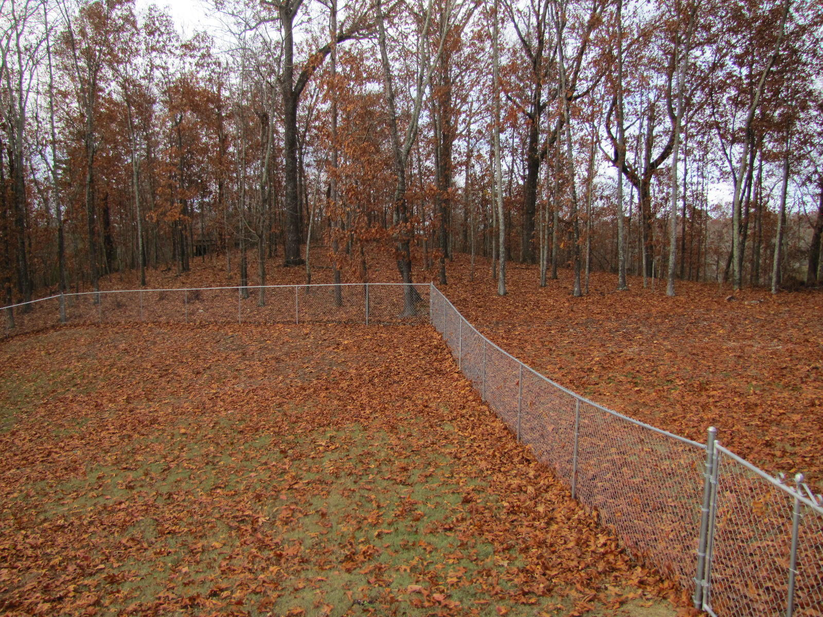 6214 Hidden Hill Road Harrison, TN 37341 - Photo 20 of 57 IMG_7147