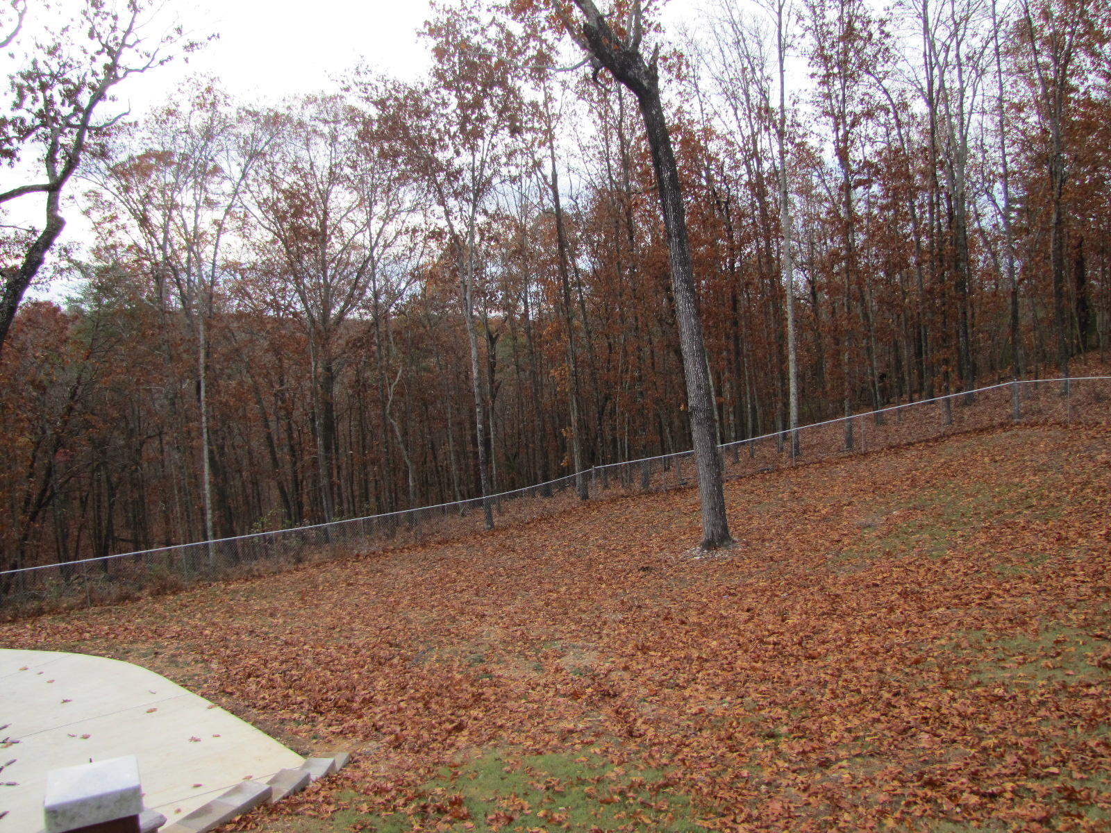 6214 Hidden Hill Road Harrison, TN 37341 - Photo 21 of 57 IMG_7148
