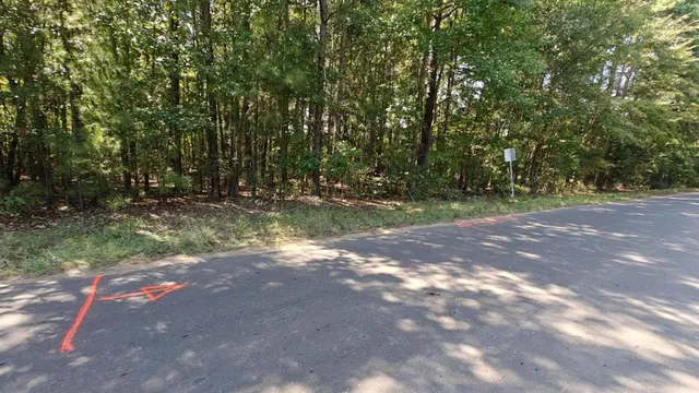 a view of a yard with a tree