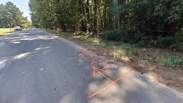 a view of a street with a trees