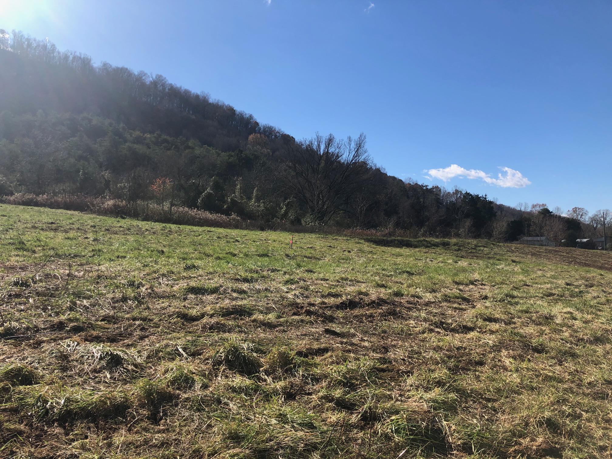 551 Shephards Chapel Road, Unit 8 Rogersville, TN 37857 - Photo 11 of 11 IMG_5202