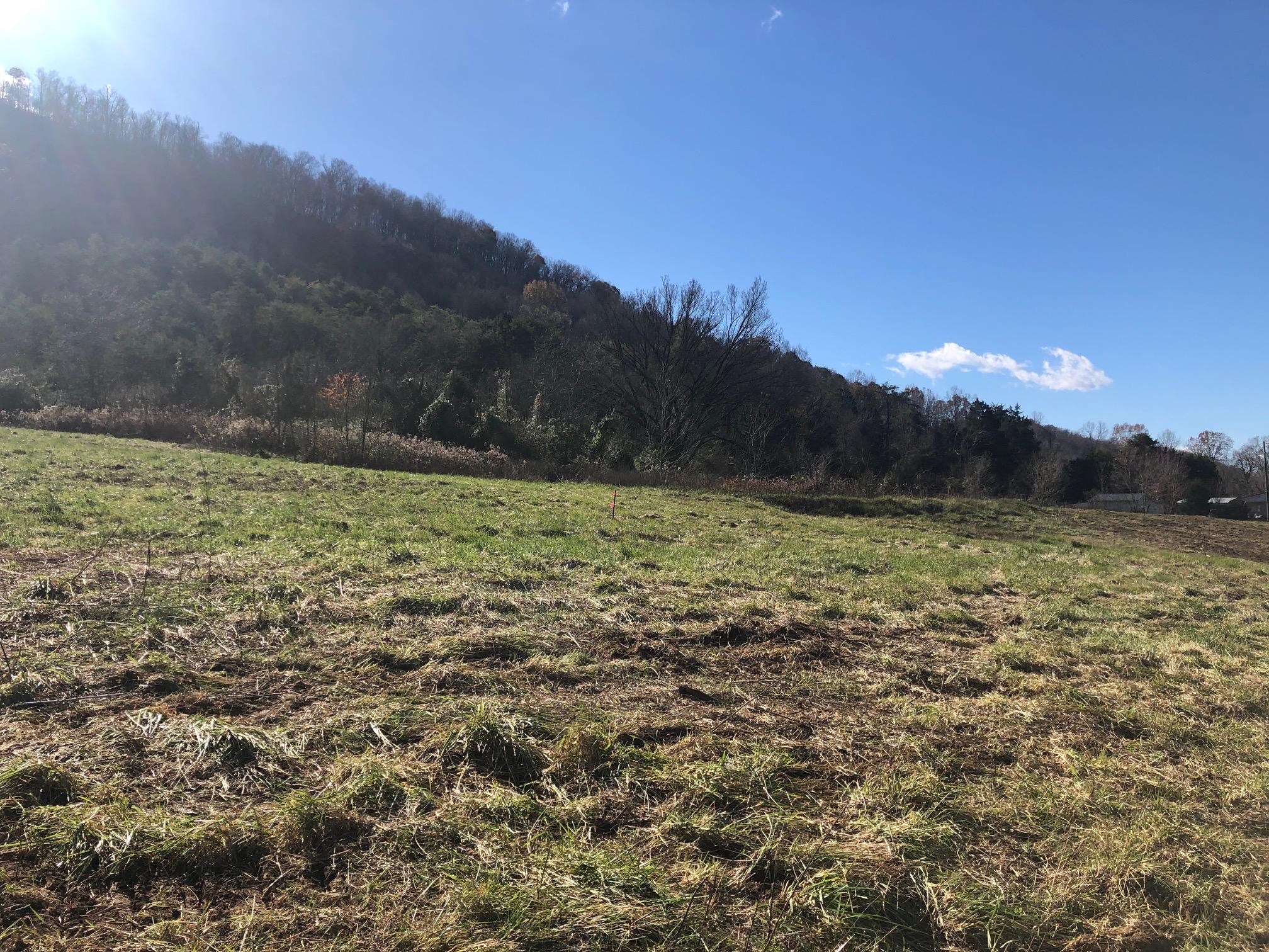 551 Shephards Chapel Road, Unit 8 Rogersville, TN 37857 - Photo 5 of 11 IMG_5203