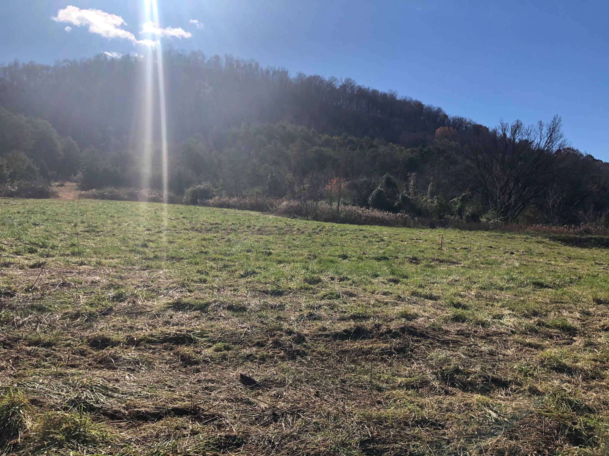 551 Shephards Chapel Road, Unit 8 Rogersville, TN 37857 - Photo 6 of 11 IMG_5205