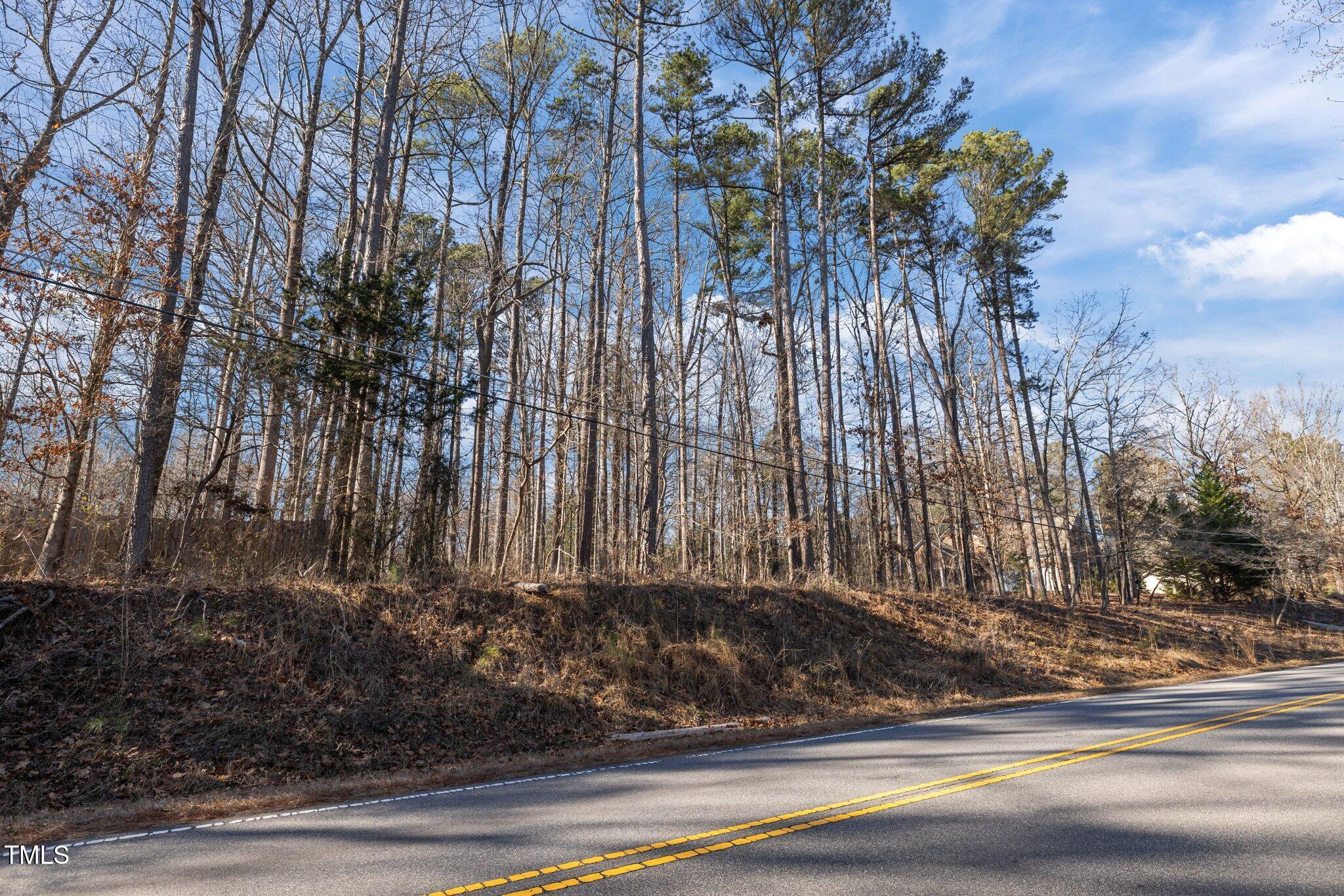 3205 West Cornwallis Road Durham, NC 27705 - Photo 4 of 12 a view of a backyard
