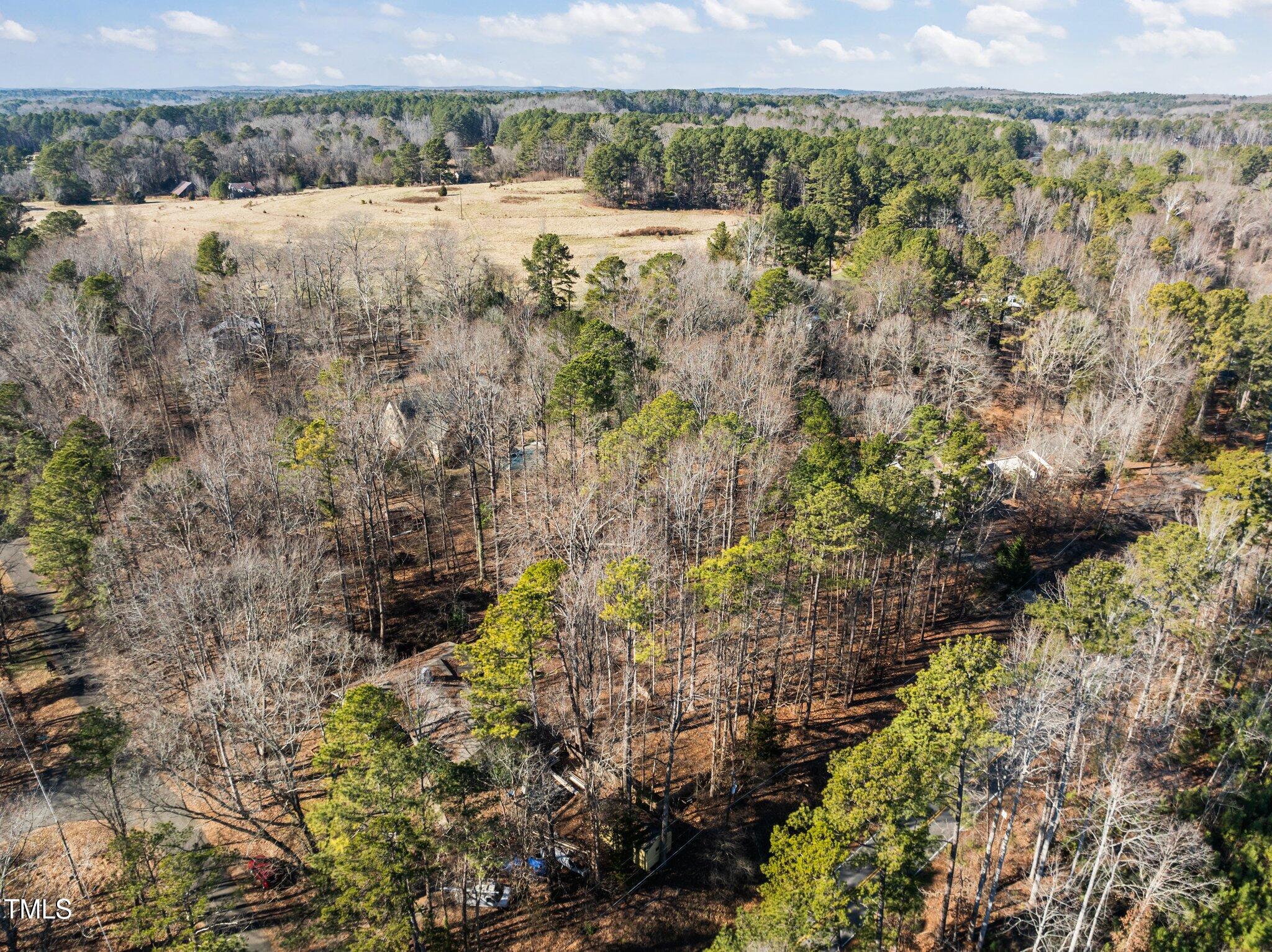 3205 West Cornwallis Road Durham, NC 27705 - Photo 5 of 12 a view of a lake with a mountain and trees