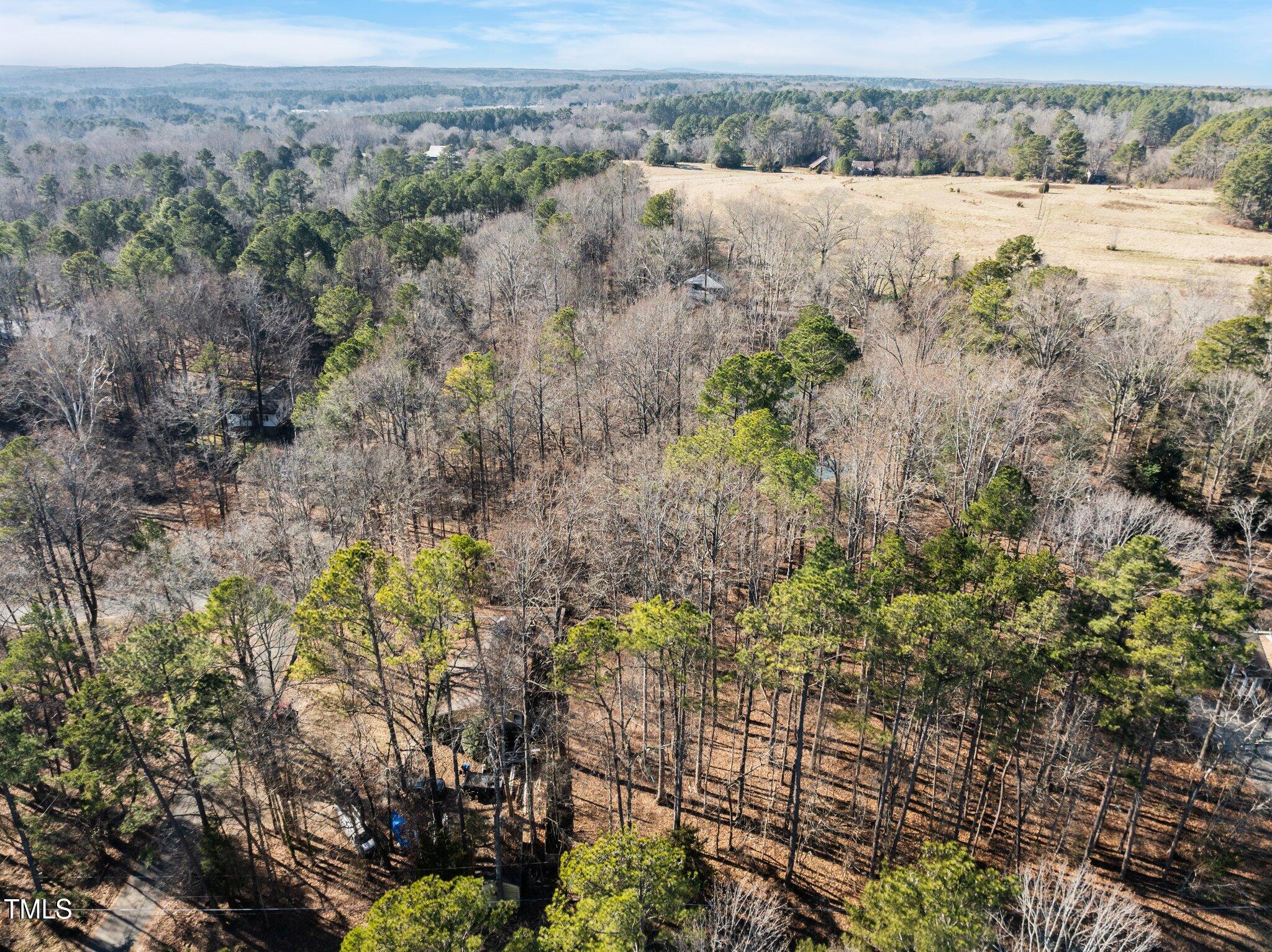 3205 West Cornwallis Road Durham, NC 27705 - Photo 6 of 12 a view of a yard with plants and large trees