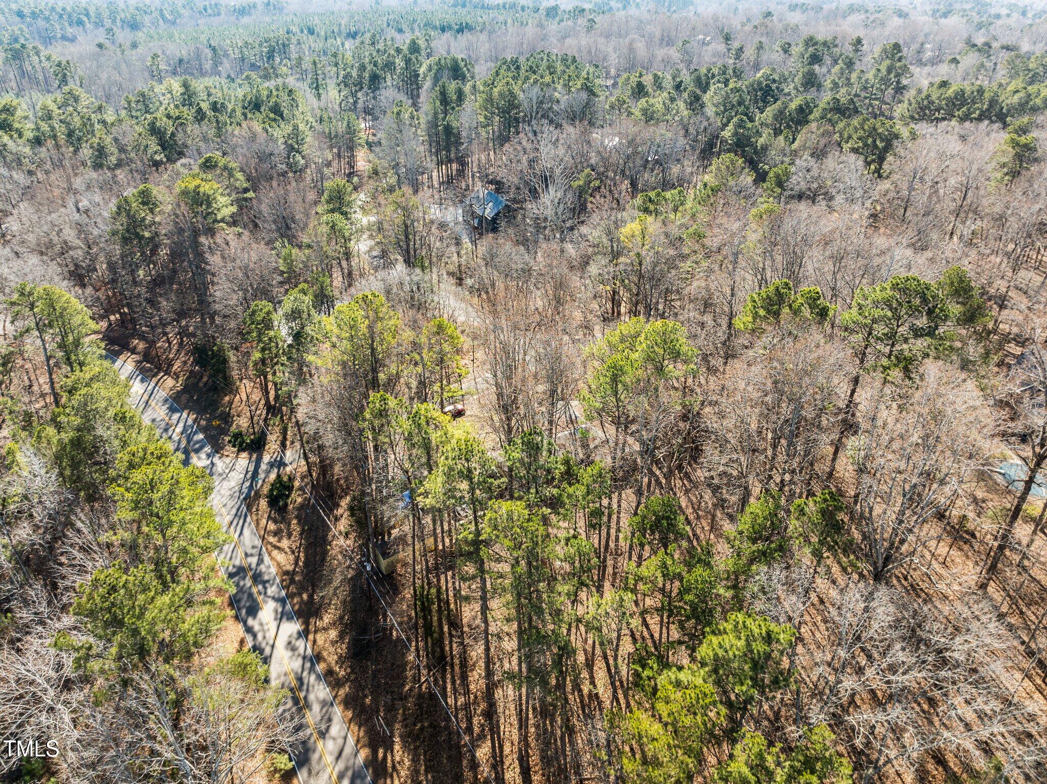 3205 West Cornwallis Road Durham, NC 27705 - Photo 7 of 12 a view of a forest with a tree