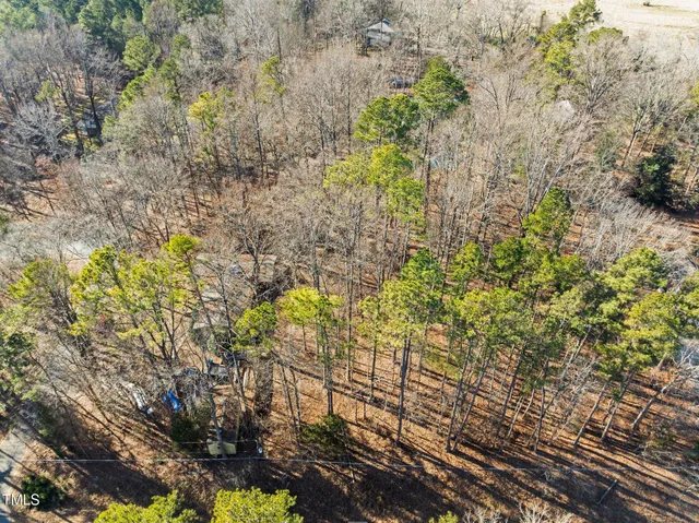 a view of a forest with a forest