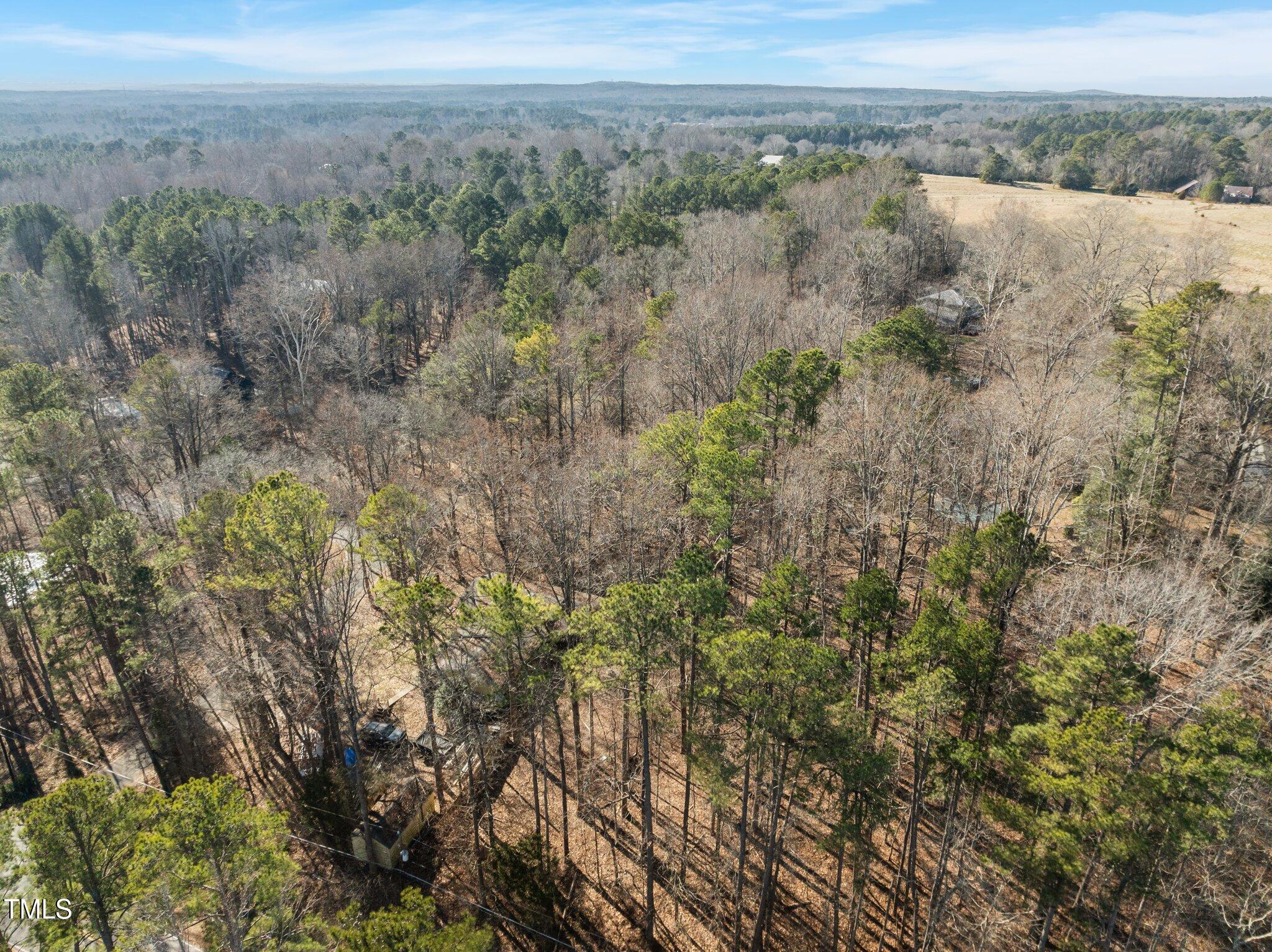3205 West Cornwallis Road Durham, NC 27705 - Photo 9 of 12 a view of a forest with a forest