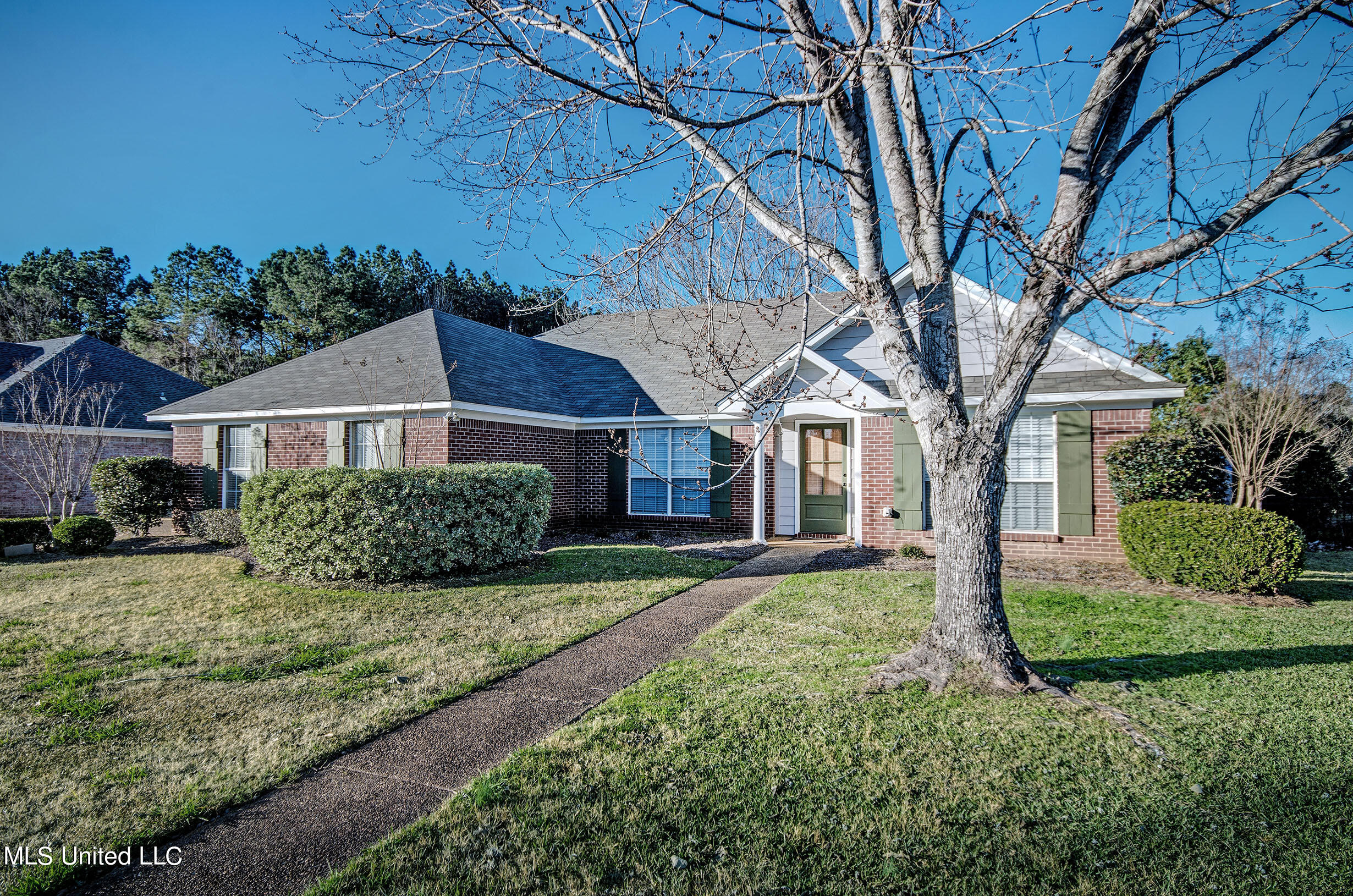 2005 Cross Point Cove Brandon, MS 39042 - Photo 2 of 25 IMGP1178_79_80
