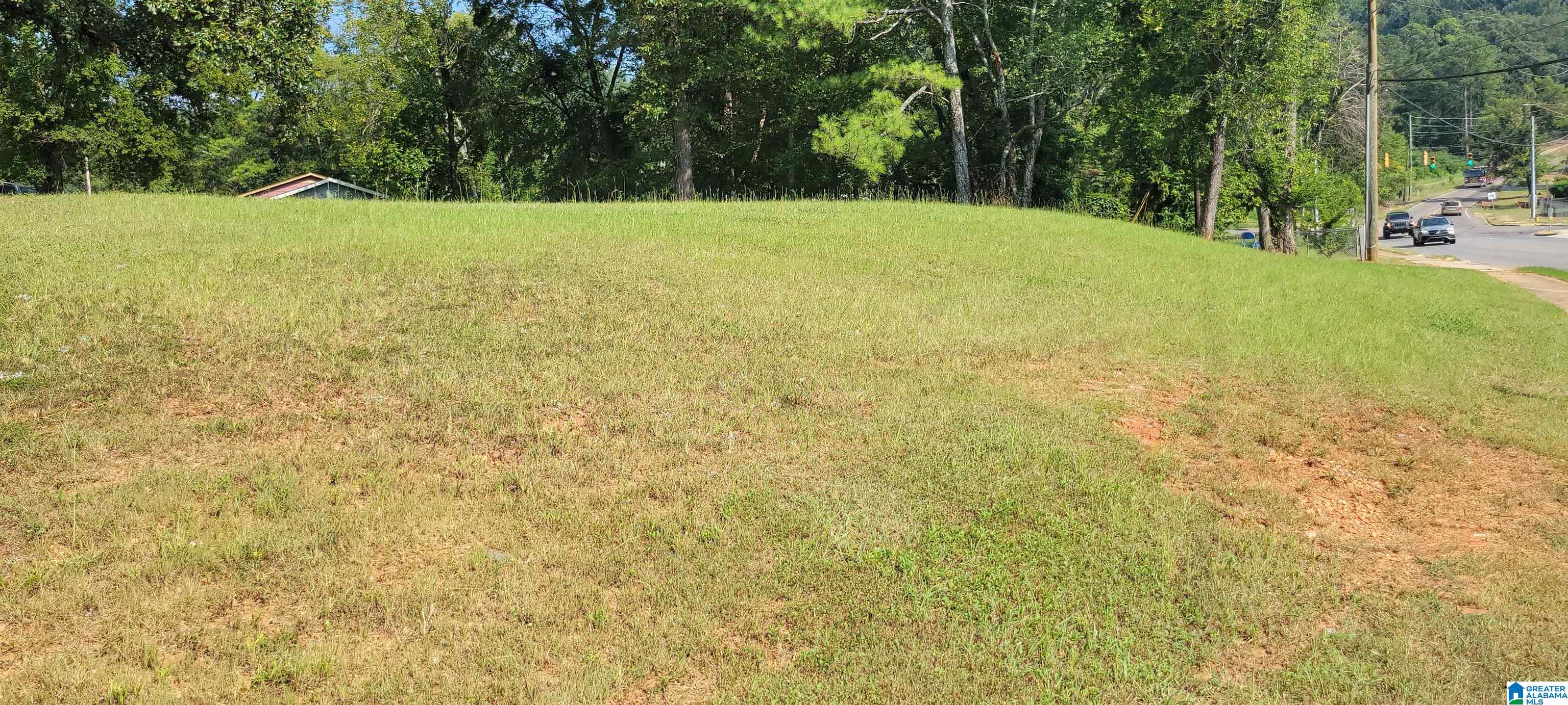 3521 Wilson Road Southwest, Unit 910 Birmingham, AL 35211 - Photo 4 of 4