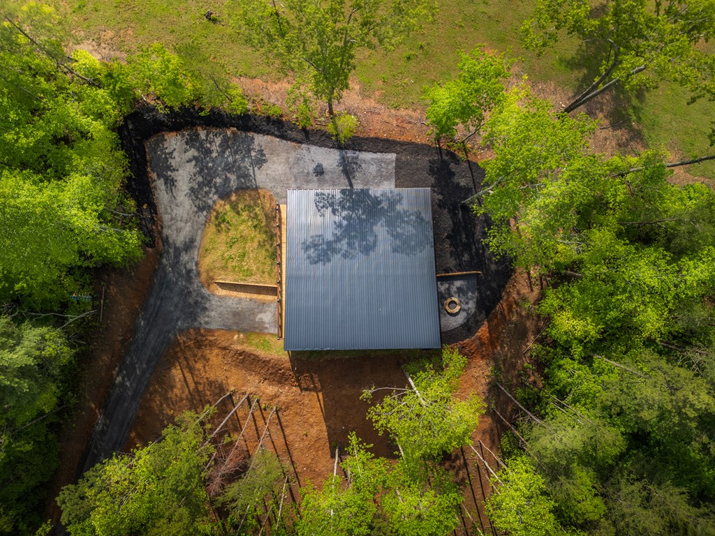 485 Sowers Road Blue Ridge, GA 30513 - Photo 10 of 45 Gallery Image 10