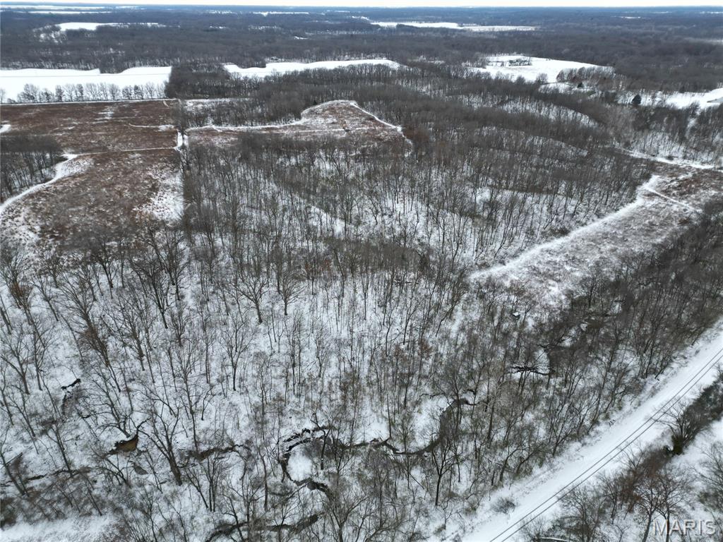 1965 Stringtown Road Sorento, IL 62086 - Photo 11 of 45