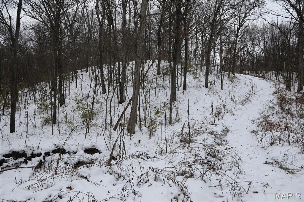 1965 Stringtown Road Sorento, IL 62086 - Photo 17 of 45