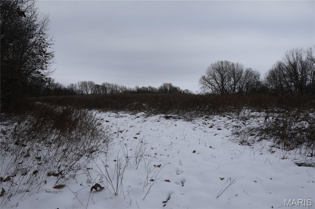 1965 Stringtown Road Sorento, IL 62086 - Photo 19 of 45