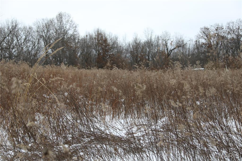 1965 Stringtown Road Sorento, IL 62086 - Photo 20 of 45