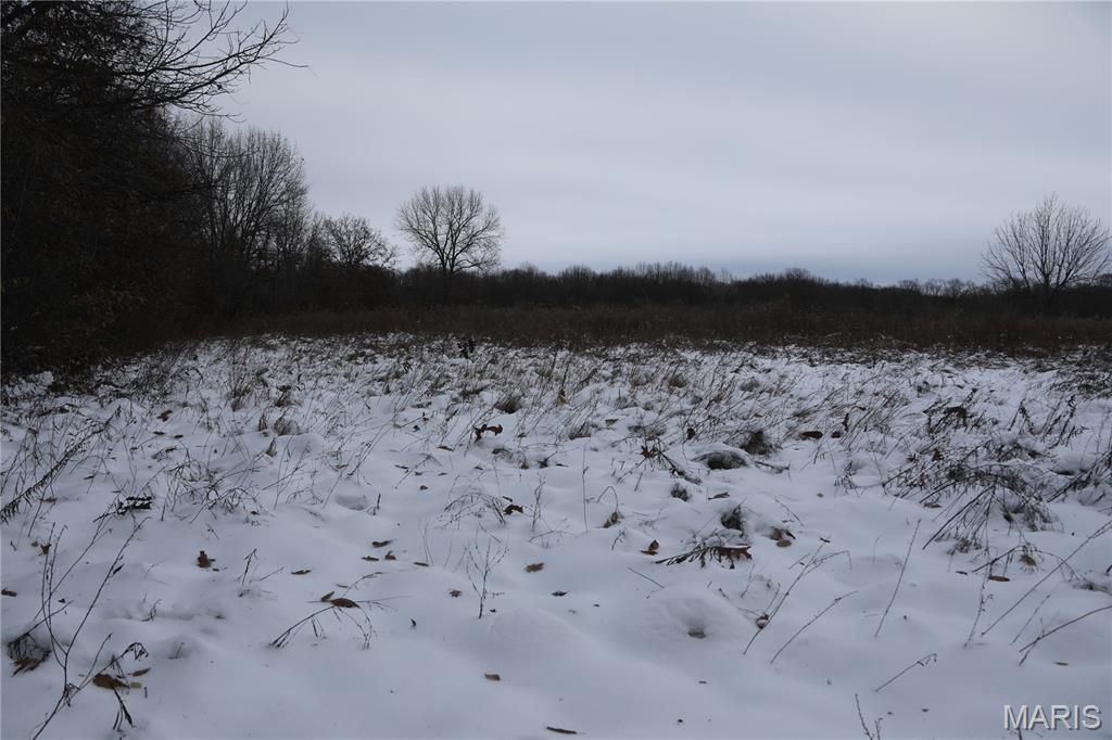 1965 Stringtown Road Sorento, IL 62086 - Photo 21 of 45