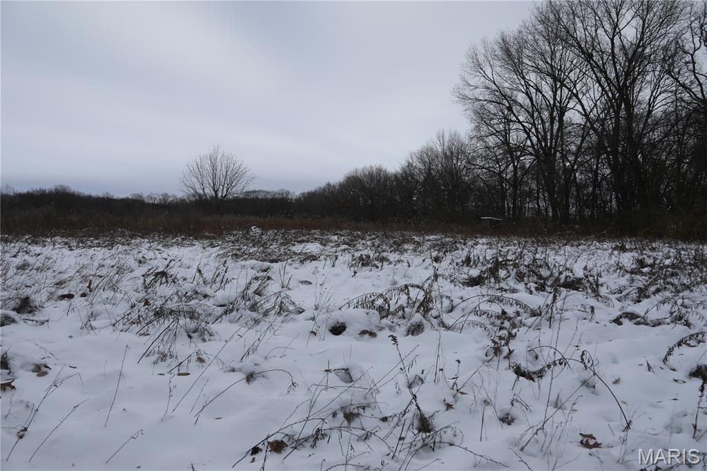 1965 Stringtown Road Sorento, IL 62086 - Photo 22 of 45