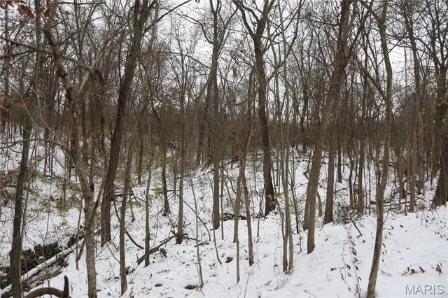 $300,000 | 1965 Stringtown Road, Sorento, IL 62086