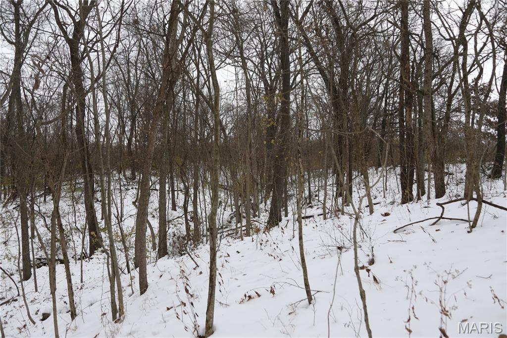 1965 Stringtown Road Sorento, IL 62086 - Photo 25 of 45