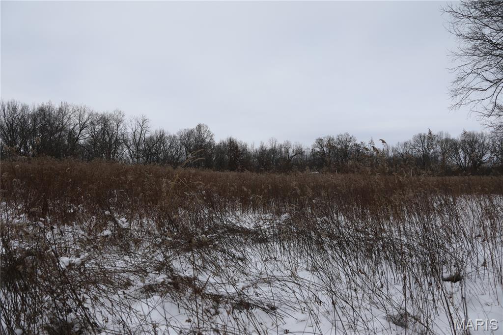 1965 Stringtown Road Sorento, IL 62086 - Photo 26 of 45